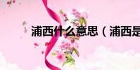浦西什么意思(浦西是什么意思)