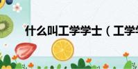 什么叫工學學士(工學學士的概念)