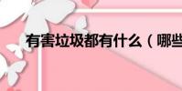 有害垃圾都有什么(哪些是有害垃圾)