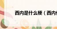 西內是什么梗(西內什么意思)