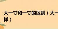 大一寸和一寸的區別(大一寸和一寸有何不一樣)