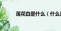 蓮花白是什么(什么是蓮花白)