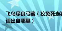 飛鳥盡良弓藏(狡兔死走狗烹什么意思 這句話出自哪里)