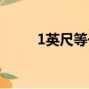 1英尺等于多少米（1英尺是幾米）