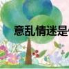 意亂情迷是什么意思（意亂情迷的含義）