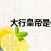 大行皇帝是什么意思（行皇帝是啥意思）