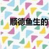 順德魚生的家常做法（順德魚生怎么做）