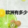 歐洲有多少個國家（歐洲的國家有多少）