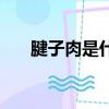 腱子肉是什么意思（腱子肉簡單介紹）