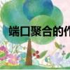 端口聚合的作用是什么（端口聚合的作用）