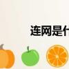 連網是什么意思（連網是啥意思）