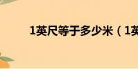 1英尺等于多少米(1英尺是幾米)