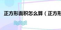 正方形面積怎么算(正方形面積計算方法)