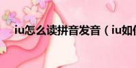 iu怎么讀拼音發音(iu如何讀拼音發音)