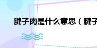 腱子肉是什么意思(腱子肉簡單介紹)