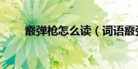 霰彈槍怎么讀(詞語霰彈槍怎么讀)