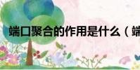 端口聚合的作用是什么(端口聚合的作用)