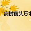 病樹前頭萬木春前一句（這句話出自哪里）