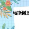 馬斯諾原理（馬斯諾原理是什么）