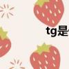 tg是什么意思（tg的意思）