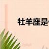 牡羊座是什么星座（牡羊座的簡介）