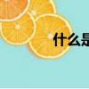 什么是矢量圖（矢量圖簡述）