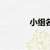 小組名稱（小組名稱有哪些）