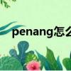 penang怎么讀音（英語penang怎么讀）