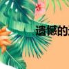 遺憾的近義詞（一起來看看吧）