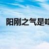 陽剛之氣是啥意思（陽剛之氣是什么意思）