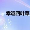 幸運四葉草代表什么（幸運四葉草含義）