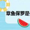 章魚保羅是什么意思（章魚保羅的解釋）