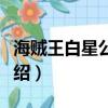 海賊王白星公主是誰（海賊王白星公主簡單介紹）