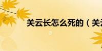 關云長怎么死的(關云長簡介)