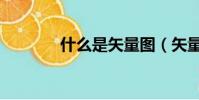 什么是矢量圖(矢量圖簡述)