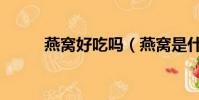 燕窩好吃嗎(燕窩是什么味道的)