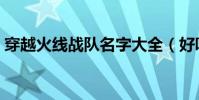 穿越火線戰隊名字大全(好聽的游戲戰隊名)