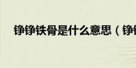 錚錚鐵骨是什么意思(錚錚鐵骨的意思)