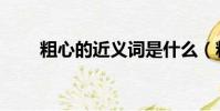 粗心的近義詞是什么(粗心的意思)