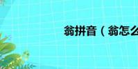 翁拼音(翁怎么讀)