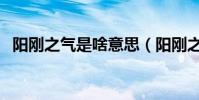 陽剛之氣是啥意思(陽剛之氣是什么意思)
