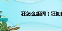 狂怎么組詞(狂如何組詞)