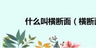 什么叫橫斷面(橫斷面的解釋)