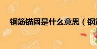 鋼筋錨固是什么意思(鋼筋錨固的解釋)
