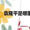 袁隆平是哪里人什么身份（袁隆平的介紹）