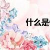 什么是僵尸肉（僵尸肉的定義）