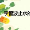 宇智波止水的眼睛給了誰（一起來看看吧）