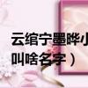 云綰寧墨曄小說叫什么名字（云綰寧墨曄小說叫啥名字）