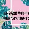 白花蛇舌草和半枝蓮的功效與作用（白花蛇舌草和半枝蓮的功效與作用是什么）