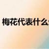 梅花代表什么生肖（梅花代表的生肖是什么）